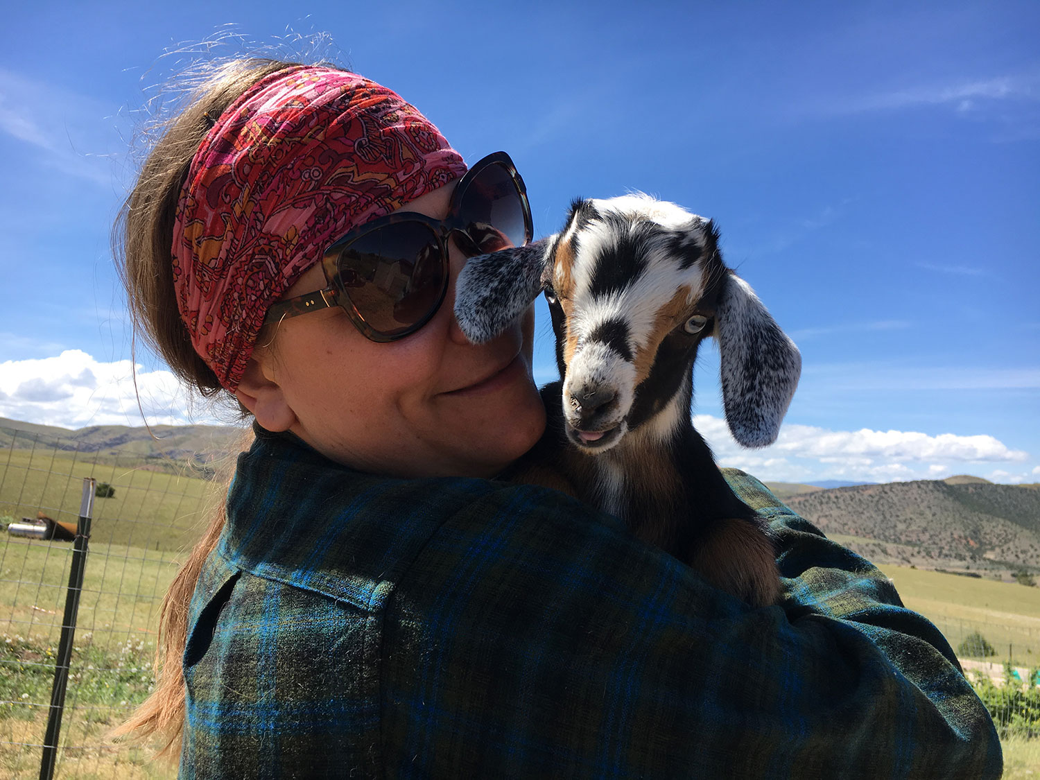 baby goat soap